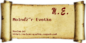 Molnár Evetke névjegykártya